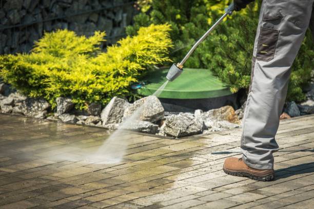 Best Pre-Holiday Cleaning  in Cedar Heights, MD