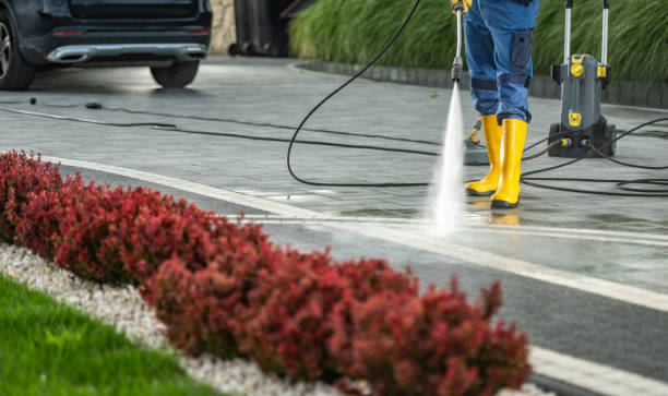 Best Roof Washing  in Cedar Heights, MD
